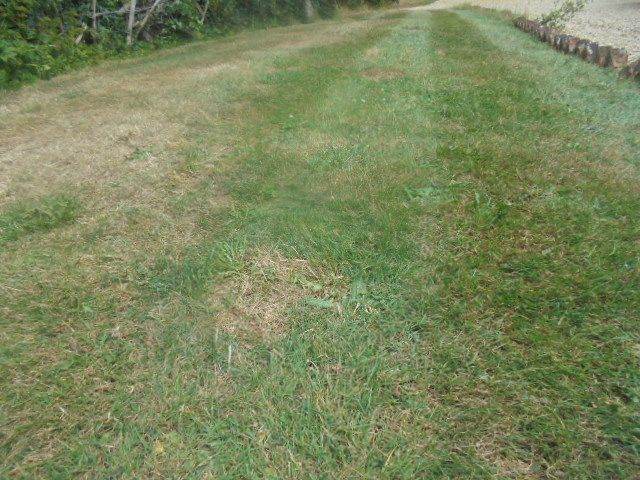 OLD VINAGE ATCO  LIGHTWEIGHT CYLINDER S/P LAWNMOWER , FULLY SERVICED