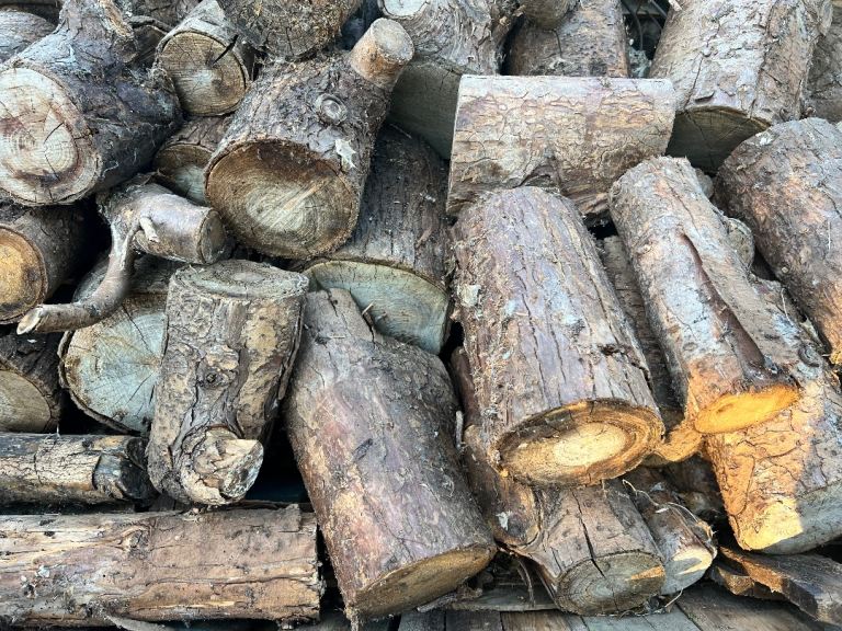Firewood Free Logs Tree Wood Fire 