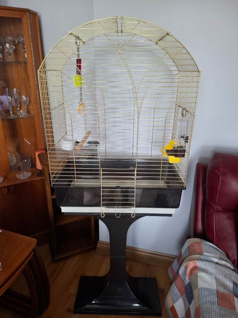 Large birdcage