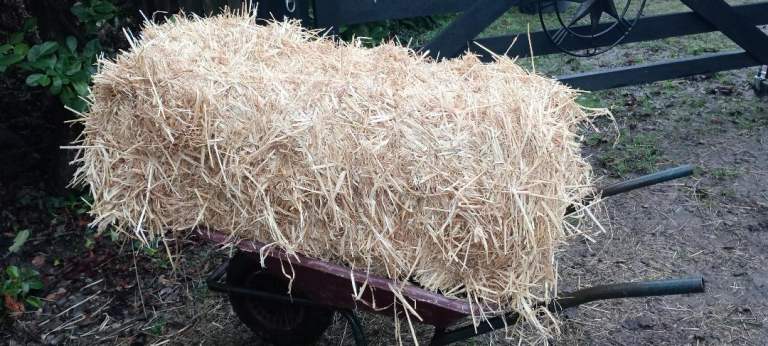 Quality Barley Straw bales, 3 available at £3.50 each soft and lovely quite large