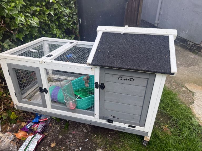 Hutch for sale 50quid 