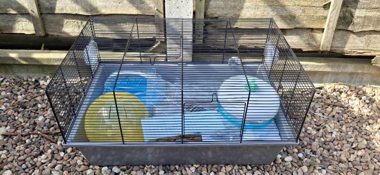 Hamster Cage