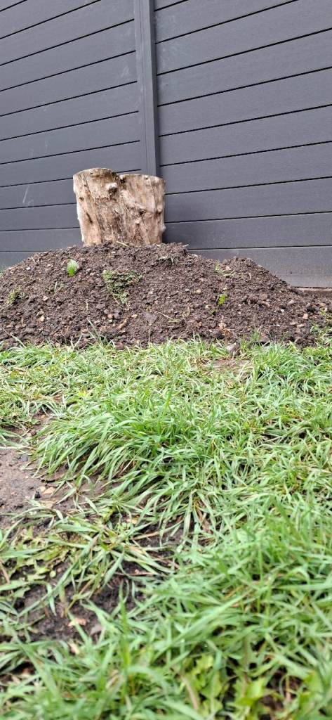 Free soil, Surbiton KT6