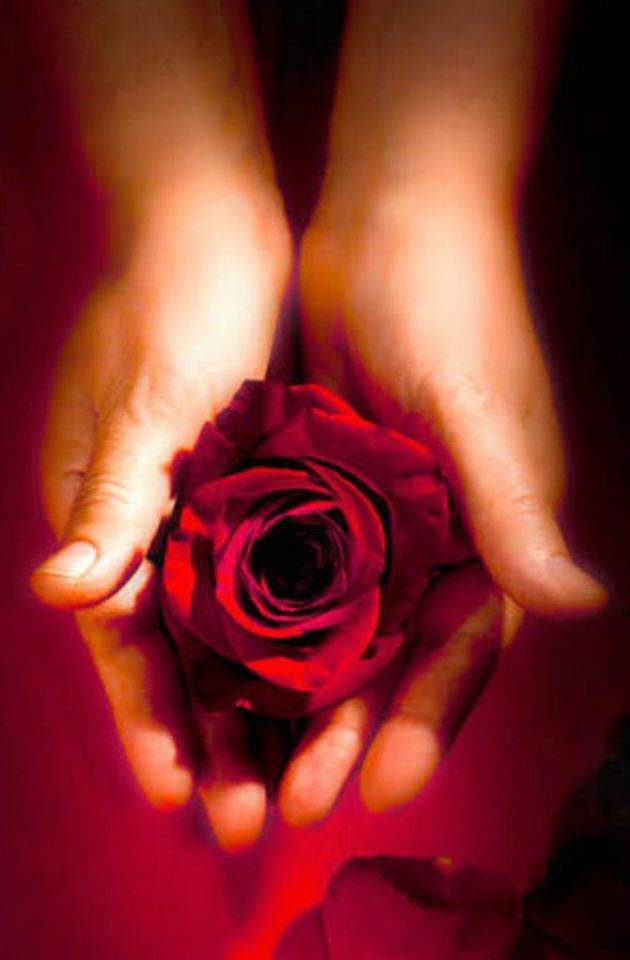 Best indian and european massage therapist available.