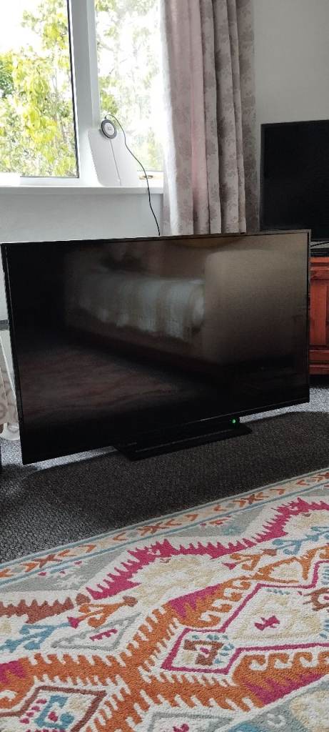 Toshiba 49" Alexa (back light not working)