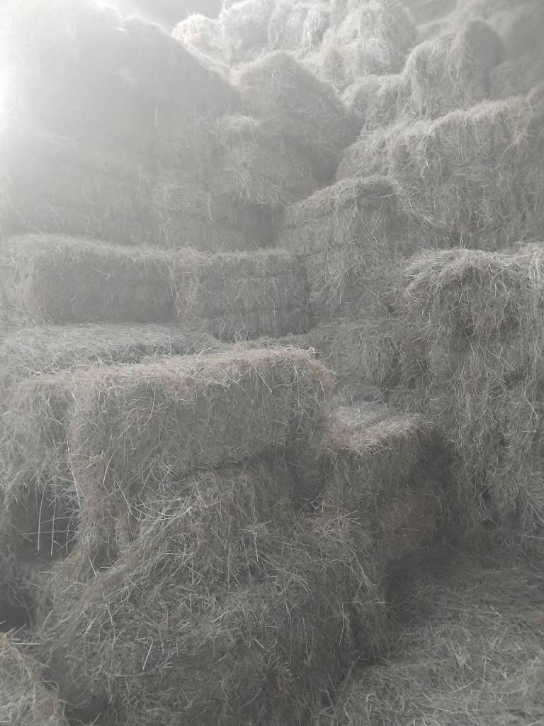 Small bales of Hay