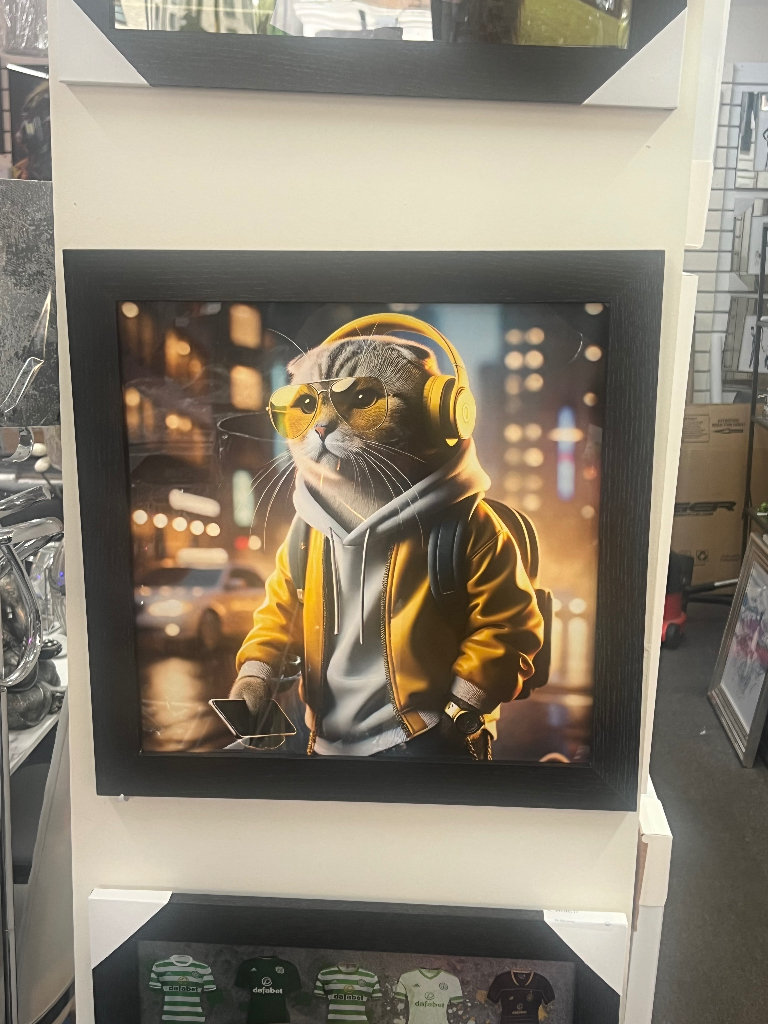 Cat framed picture with black wooden frame NEW 37x37cm 47x47cm