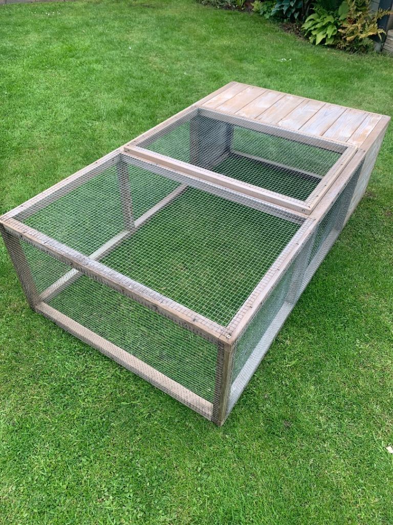Rabbit run/ Guinea pig run 