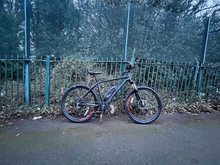 Electric mountain bike