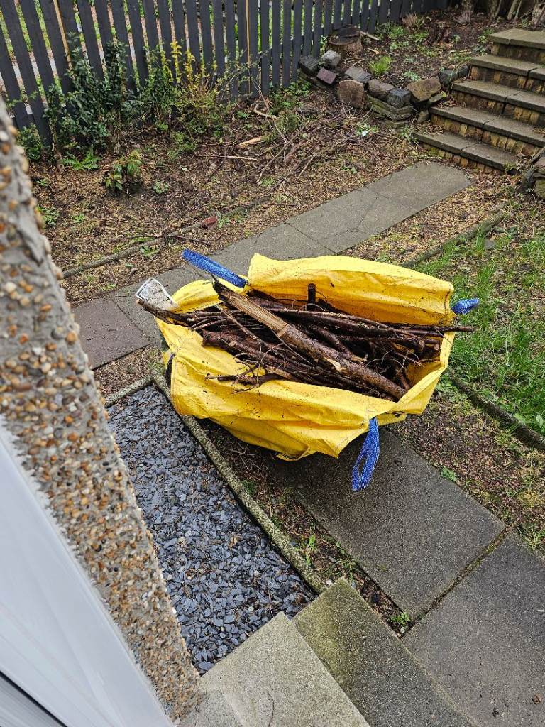 Tree branches perfect for kindling