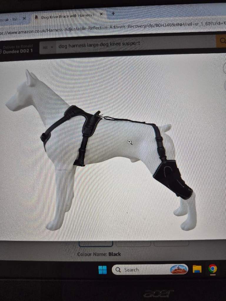 Dog Knee Brace with Harness