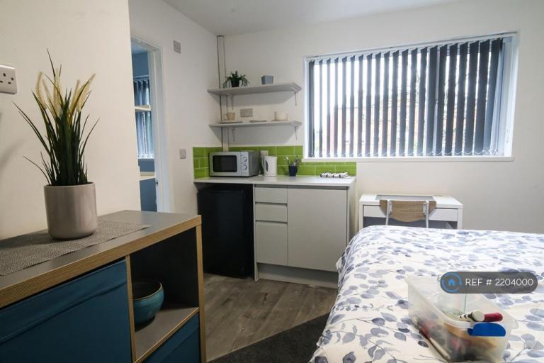 Studio flat in Amblecote, Stourbridge, DY8 (#2204000)