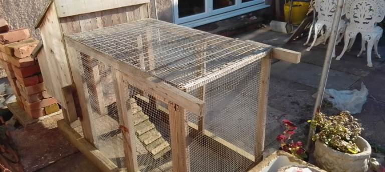 Chicken coop or rabbit hutch 
