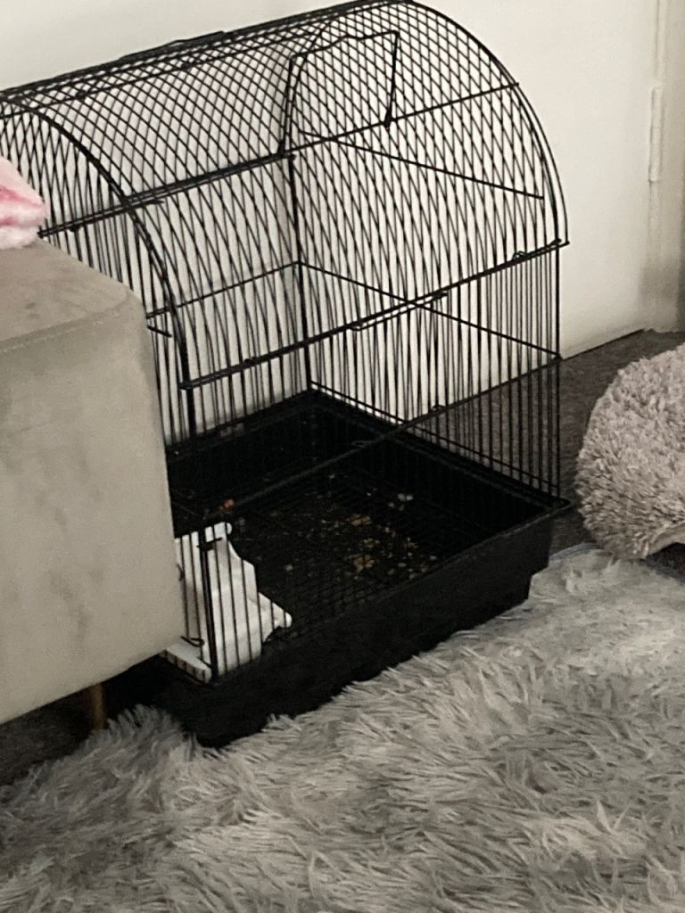 budgie cage and parrot cage