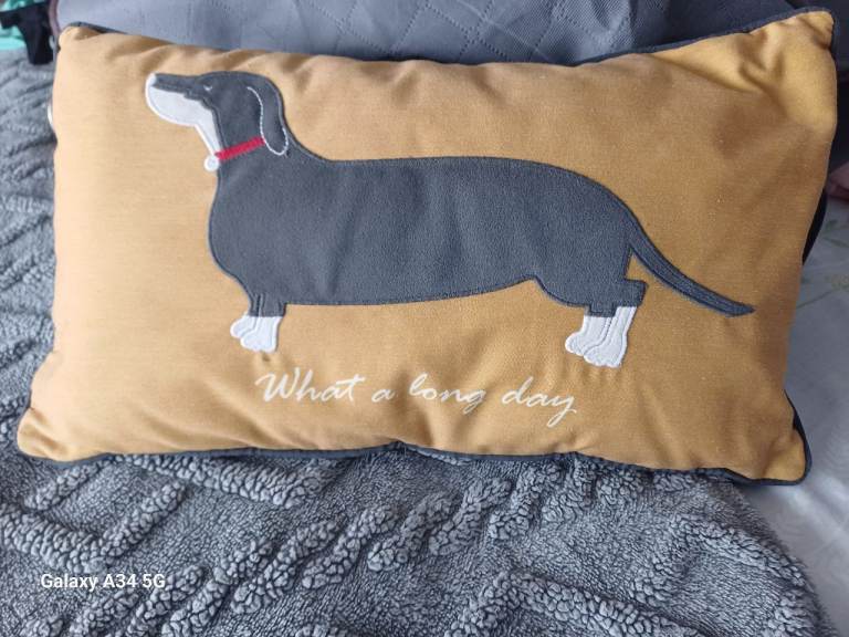 Dachshund Dog Cushion Pillow - Yellow with Grey Dog, Good Condition