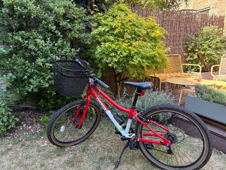 Pinnacle Aspen 24” bike 6 speed many accessories 