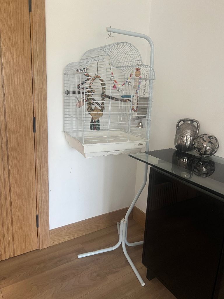 Birds cage