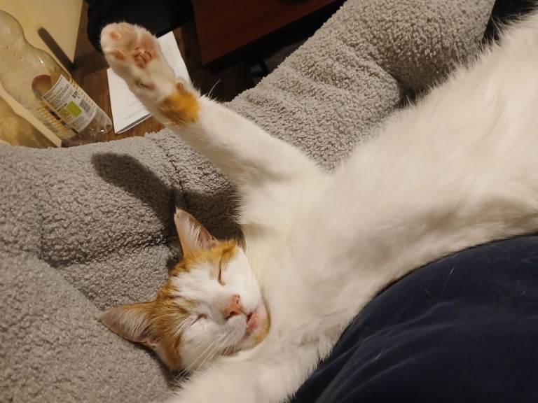 Cuddle Buddy. 