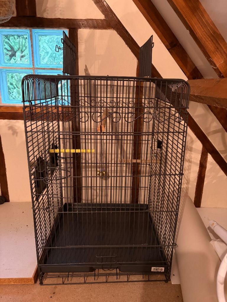 Large bird cage