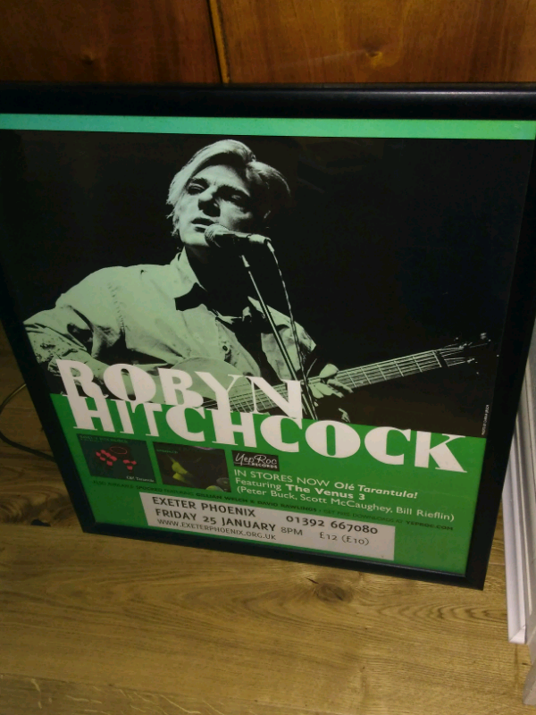 Robyn Hitchcock Poster