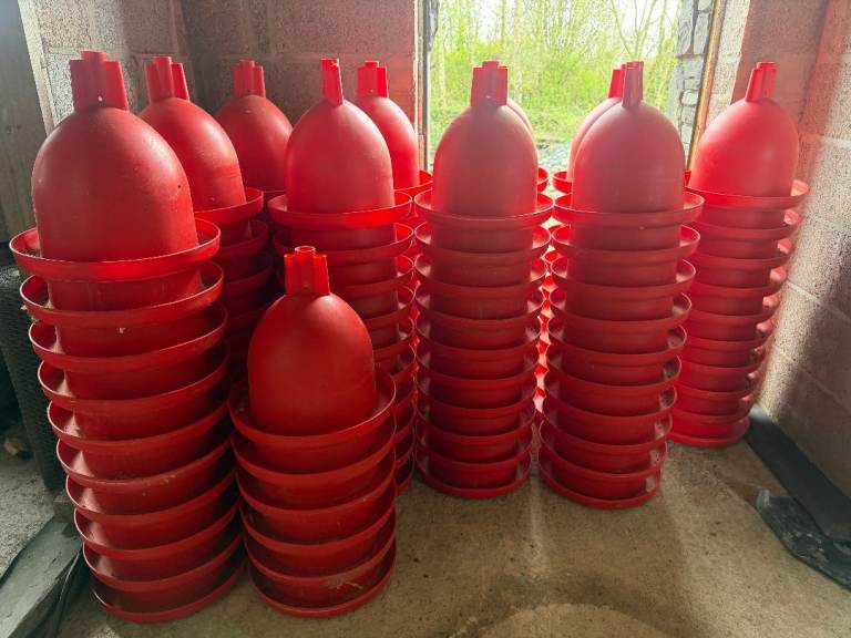 Chicken Drinkers / Bell Drinkers