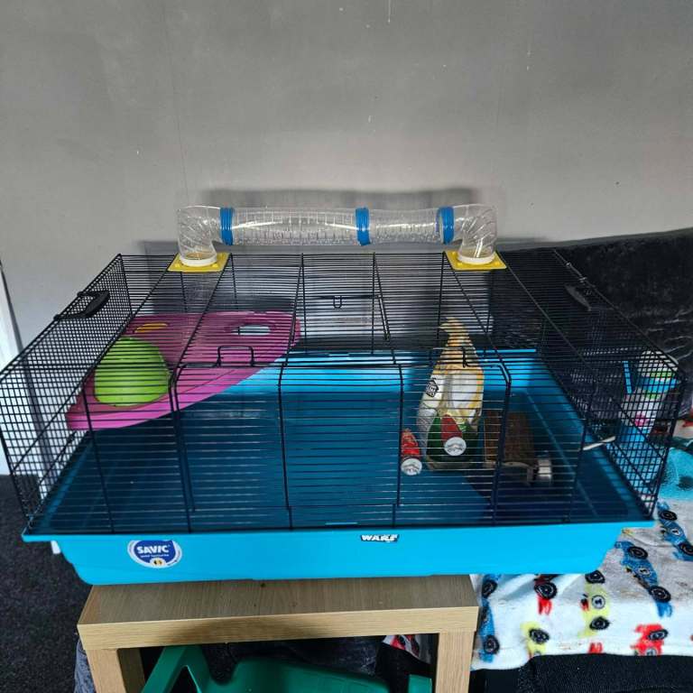 Large Hamster Cage w Accessories 