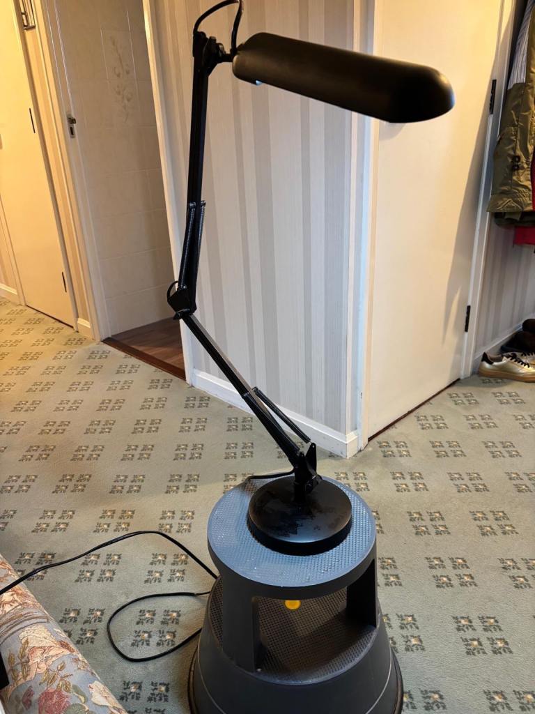 Daylight company Anglepoise lamp