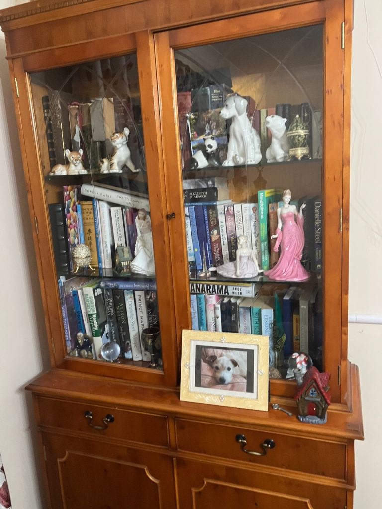 Solid Wood Display Cabinet with Glass Doors