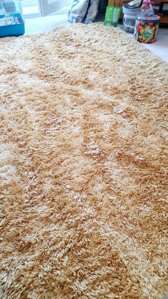 Large rug 230 x 160 
