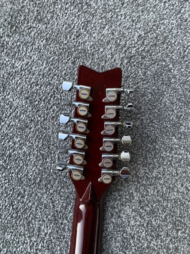 Washburn D12 12 String Guitar 