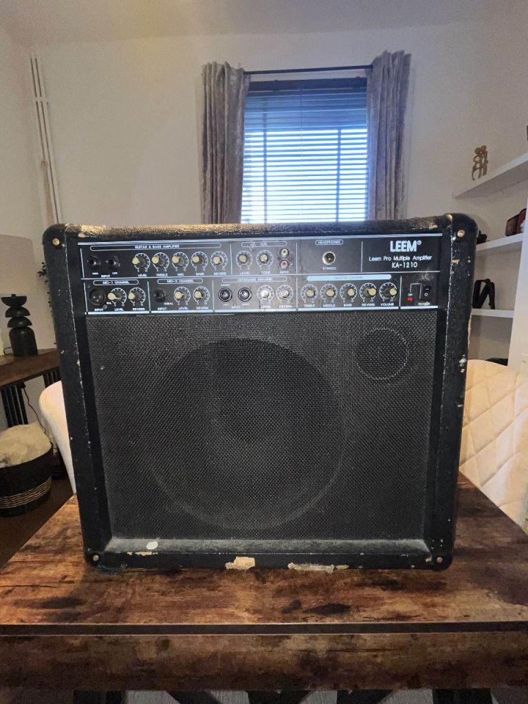 Fender Guitar Amp + LEEM Amplifier – Working