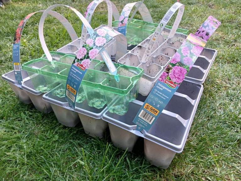 FREE plastic plant containers
