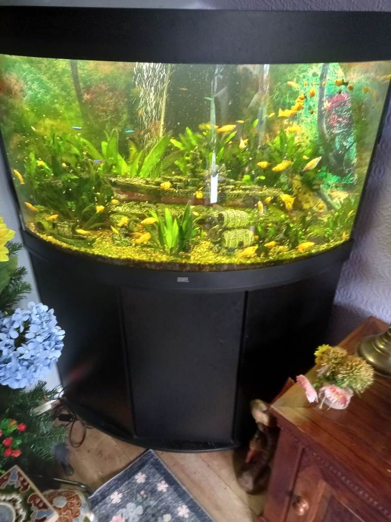 Fish tank 