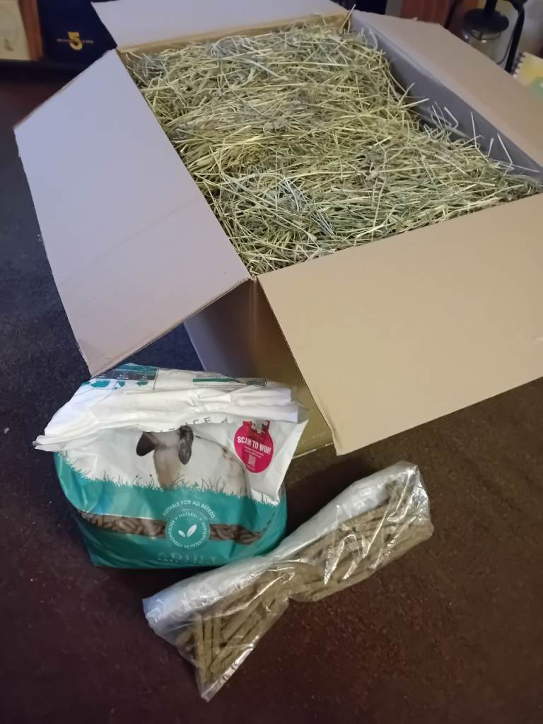 Pet rabbit supplies