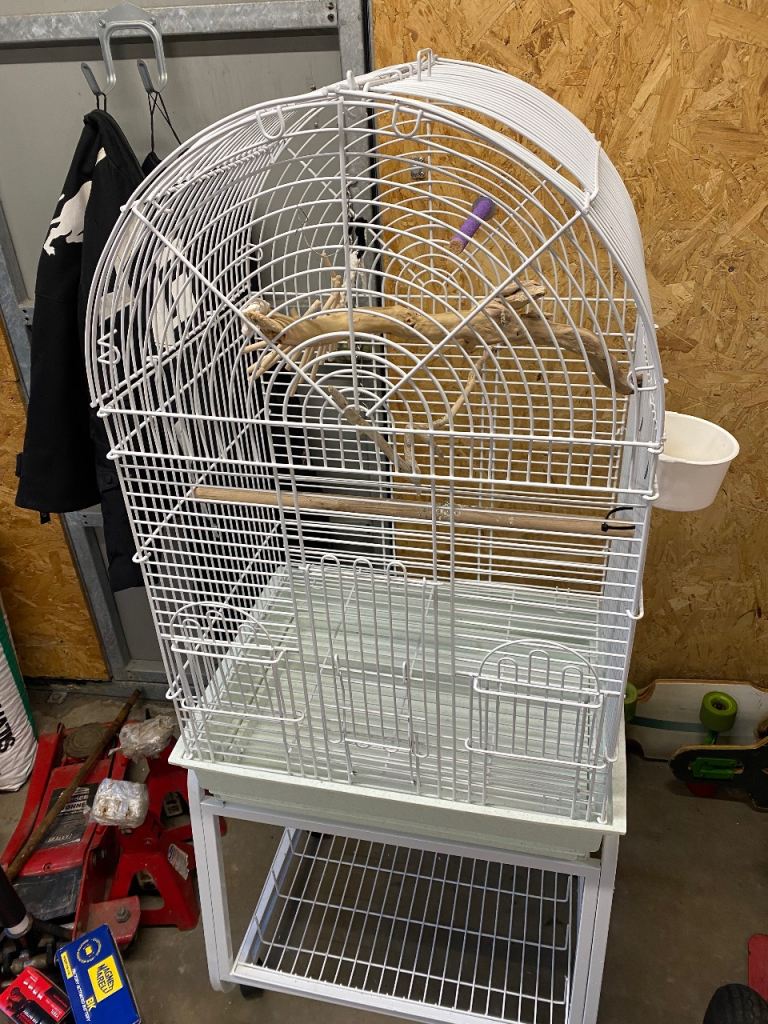 Bird cage