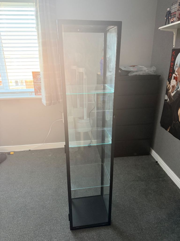 IKEA Black Glass Cabinet