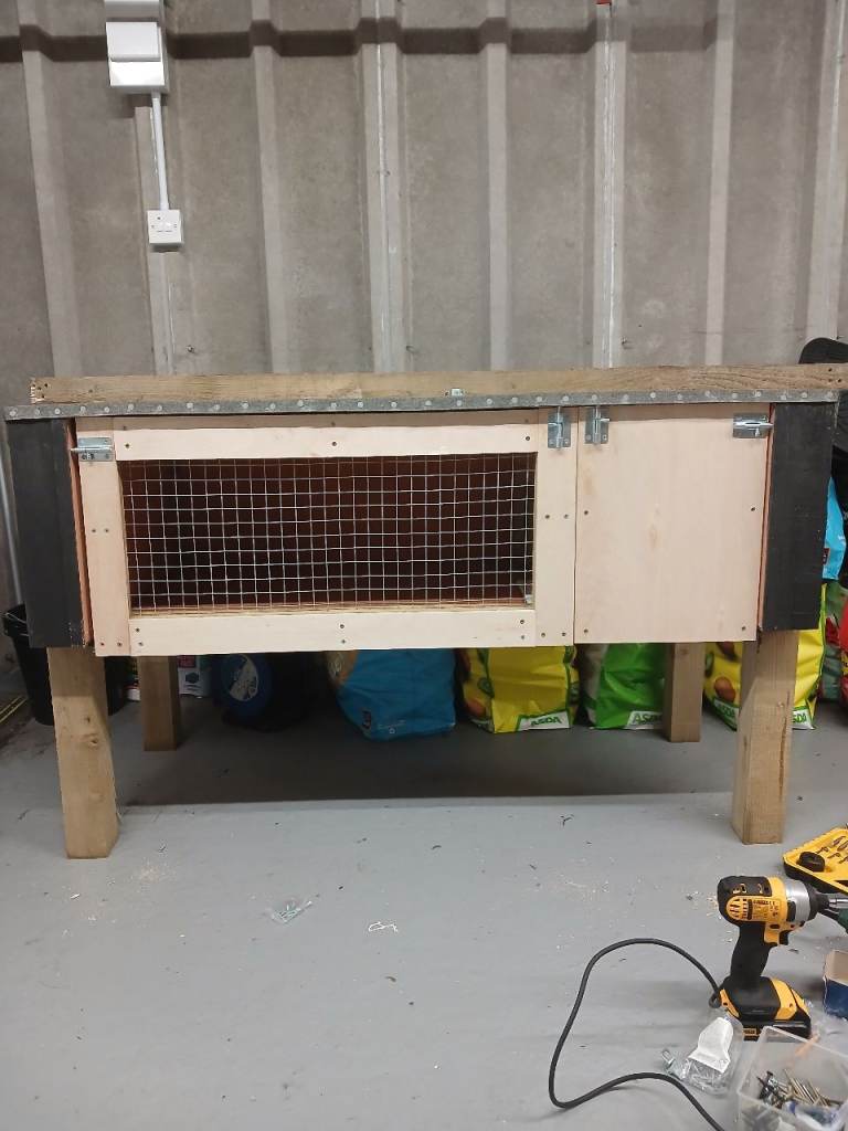 Rabbit hutch newly built 