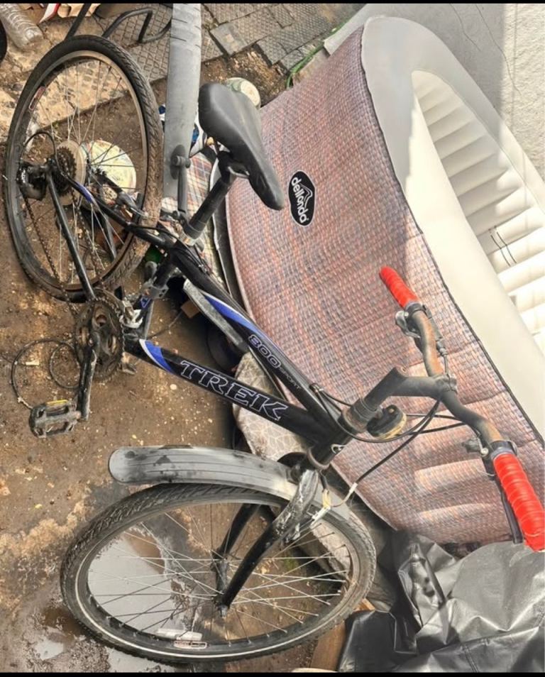 3 Kids' & Ladies' Bikes – Trek, Schwinn, Indi – Bundle