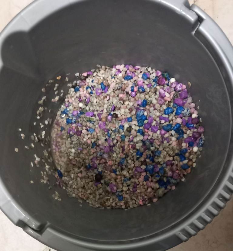 Starter Fish Tank kit