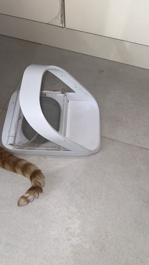 Surefeed cat microchip feeder