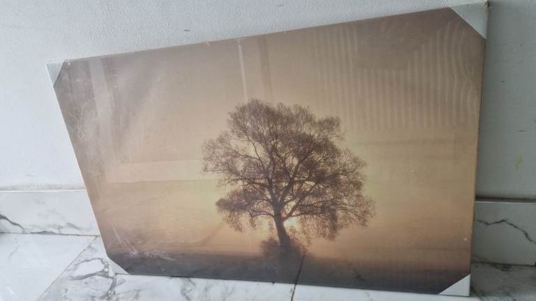 Large Canvas Wall Art Print – Tree Sunset Scene