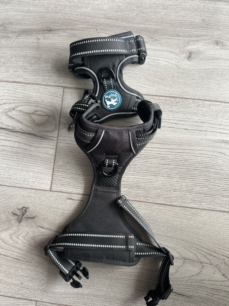 Brand new harness 