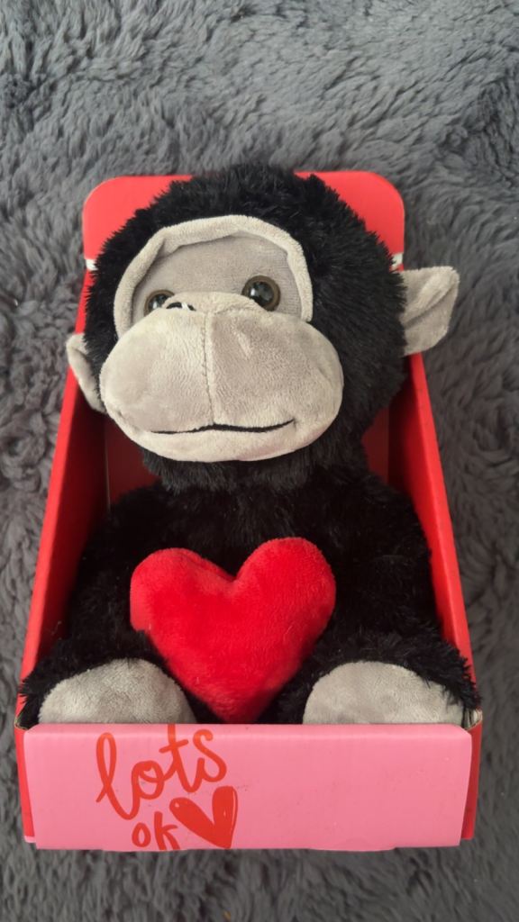 Valentine Gorilla with Heart Plush in Box