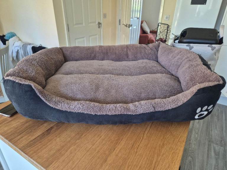 Large dog bed