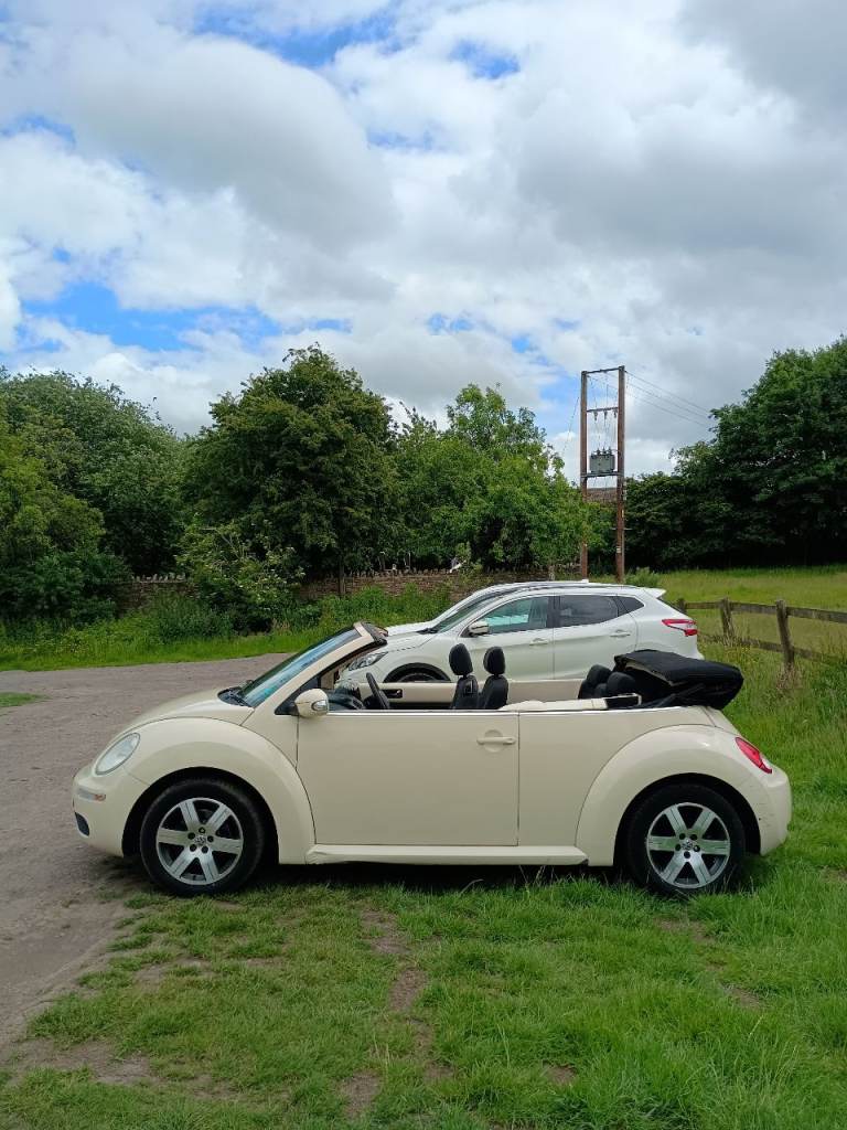 Looking For A Volkswagen Beetle 