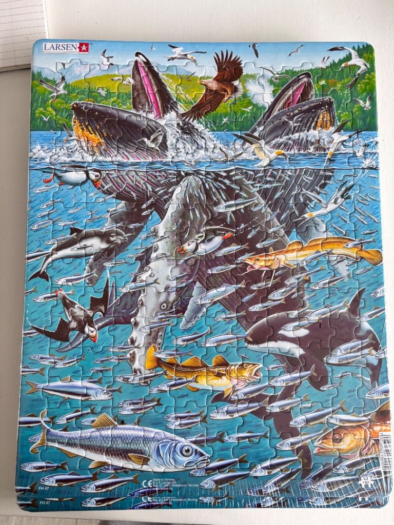 Puzzle - Humpback Whale 