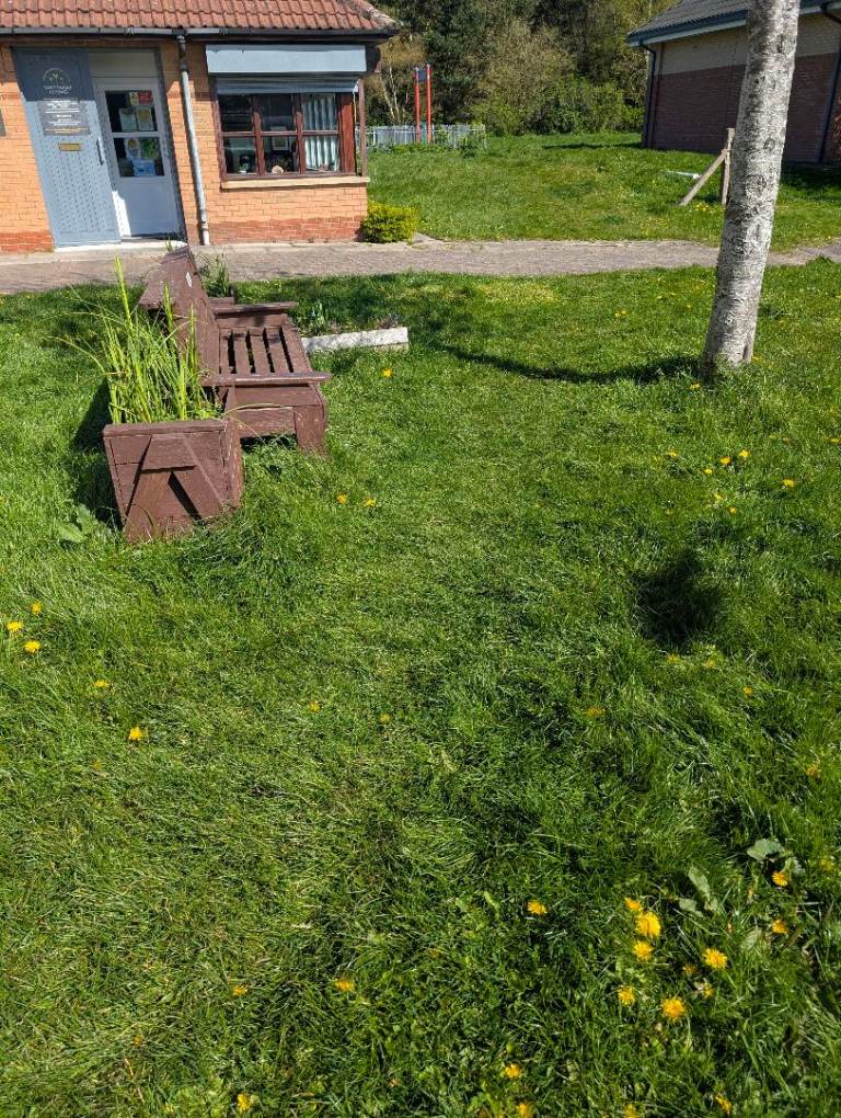 Working Petrol Lawnmower