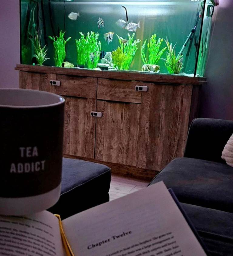 310 liter fish tank for sale