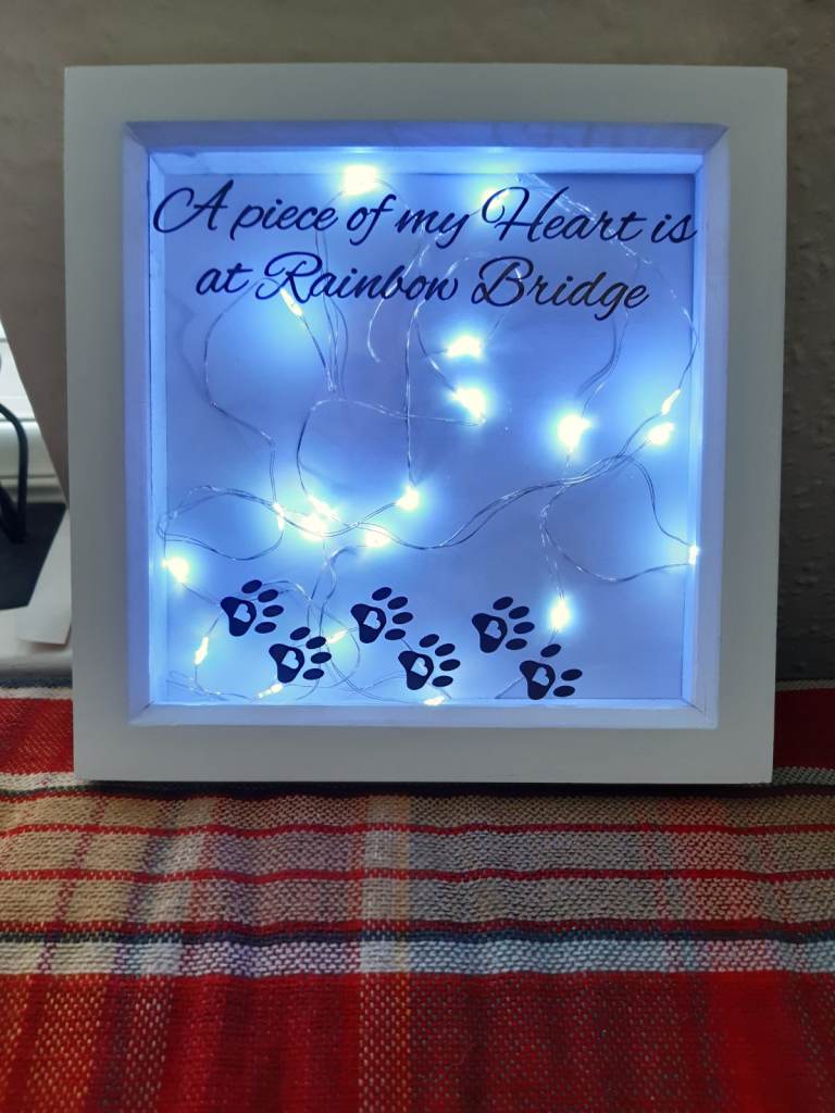 Pet dog memorial box frame