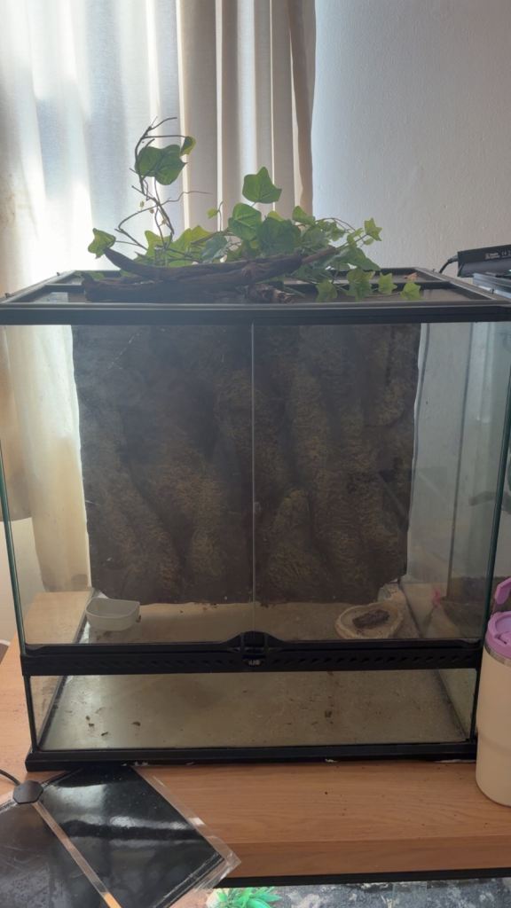Large Exo Terra Viv